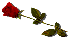 rose.gif (3106 bytes)