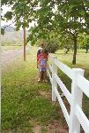 A long fence!