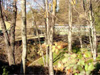 NevCity00183.jpg (86826 bytes)
