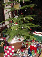 Xmas00213.jpg (96361 bytes)