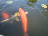 DSC01683.JPG