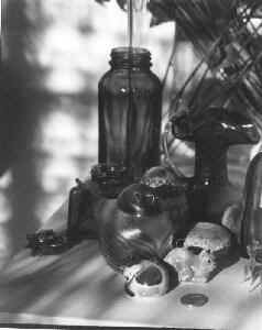 still_life2a2a.jpg (12947 bytes)