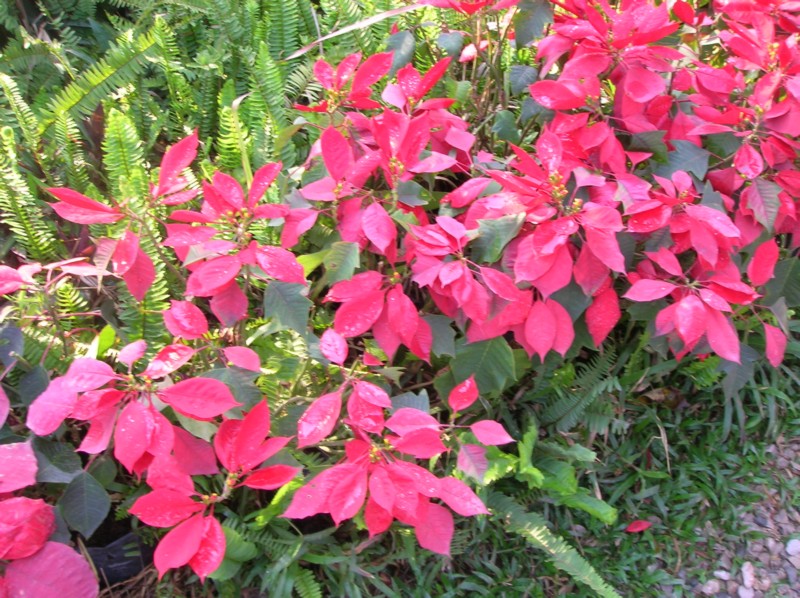 DSCN3861.JPG