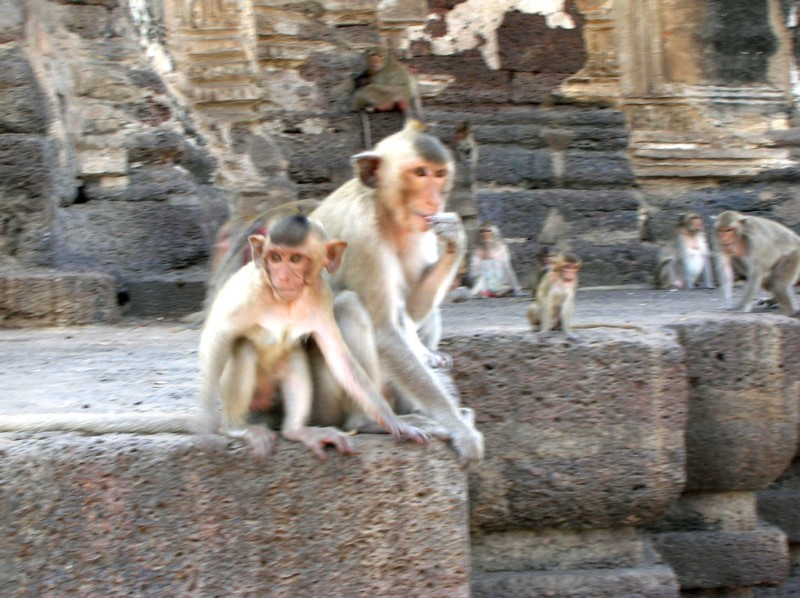 DSCN4427.JPG