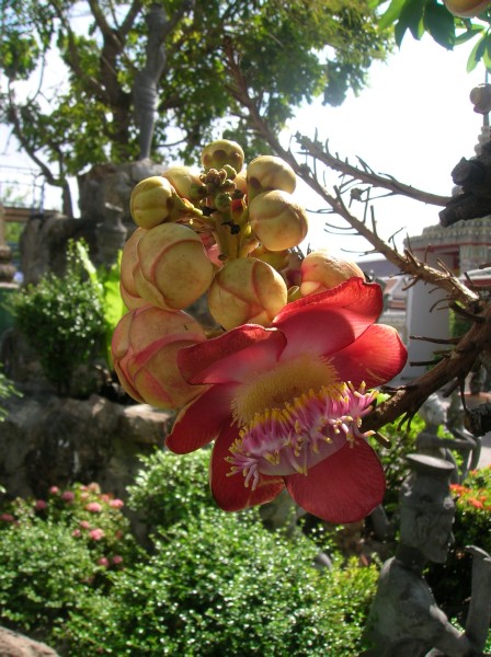 DSCN4505.JPG