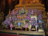 DSCN4513.JPG